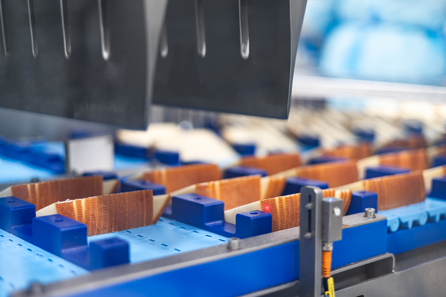 FIBOSA_ValleSanJuan_27