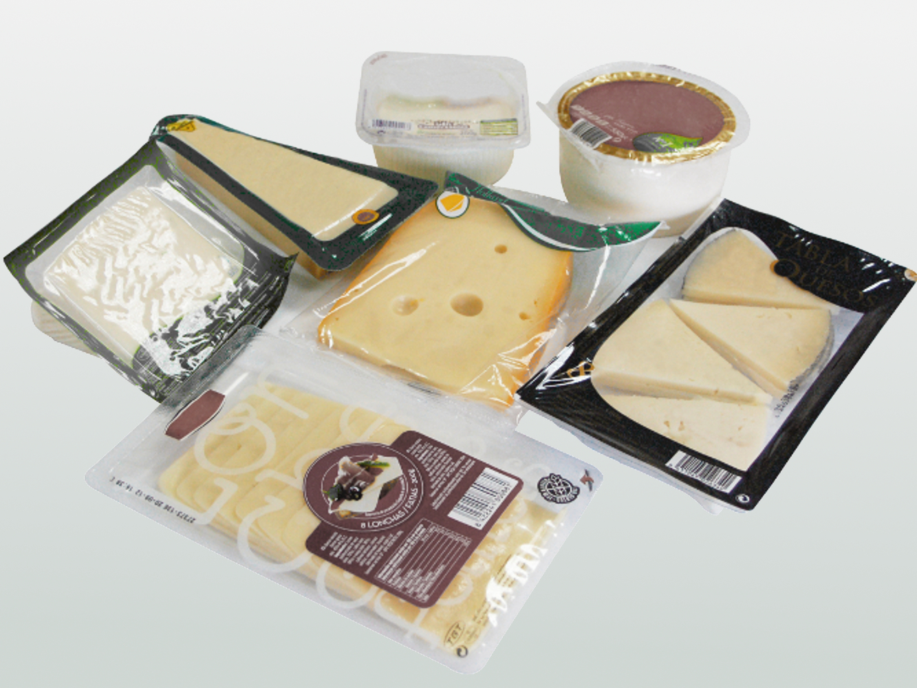 FIBOSA Cheese Packaging: Innovative Flowpack Solutions
