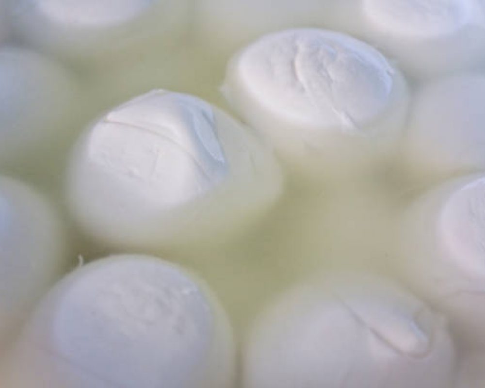 FIBOSA_MOZARELLA5