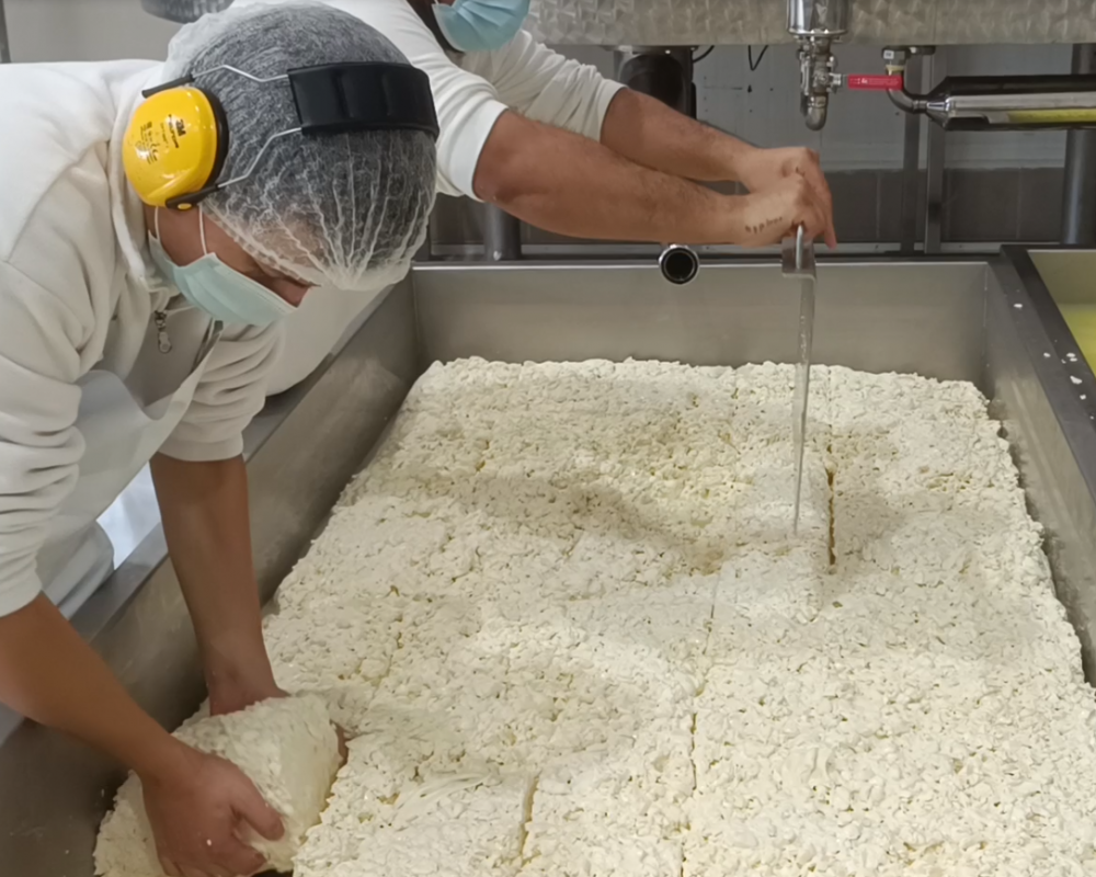 FIBOSA_MOZZARELLA1