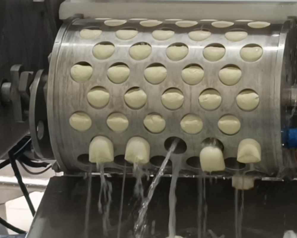 FIBOSA_MOZZARELLA4