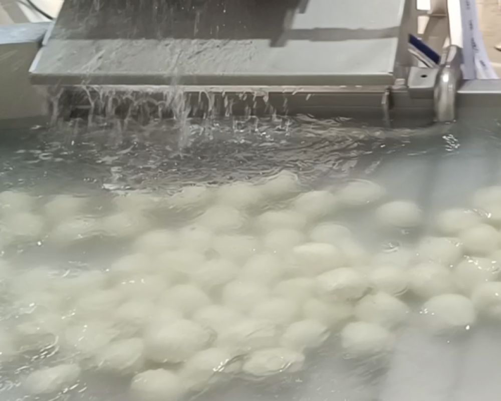 enfriado_mozzarella_fibosa